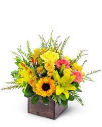 Check spelling or type a new query. Daughters Flowers Same Day Hand Delivery In Virginia Beach