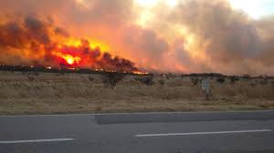 Maybe you would like to learn more about one of these? Nuevos Focos Otra Provincia Argentina Combate Los Incendios Forestales Sociedad El Intransigente