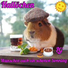Einen liebevollen gruß zum sonntag. Schonen Sonntag Lustige Bilder 157 Gbpicsbilder Com