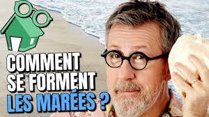 https://encrypted-tbn0.gstatic.com/images?q=tbn:ANd9GcRzVzqyg7u9bZ_2WysH0CT38qdoNwS_zAsgmcgja8Oxt8YUTe2YL8cfsYq6PHYYEZBKZG0&usqp=CAU