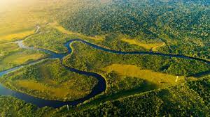 Amazonas—freshwater aquariums and tropical discovery. Amazonas Fluss Voller Wunder Und Rekorde Geo