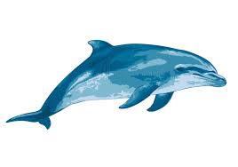 Tvアニメ「ソードアート・オンライン アリシゼーション war of underworld」最終章（2ndクール） 2020年7月11日(土)より放送開始. ã‚¤ãƒ©ã‚¹ãƒˆåˆ¶ä½œå·¥æˆ¿ S S I Ssãƒ–ãƒ­ã‚°