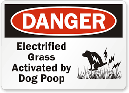 Check to see if there is a current project in your area and contact. 15 Best Dog Poop Signs Pictures Dogtime