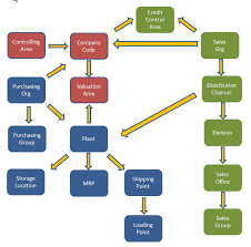 sap organization structure by functional module