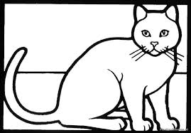 Poes 01 Kleurplaten Kleuren Peuterspeelzaal