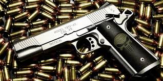 Image result for GUN PICS