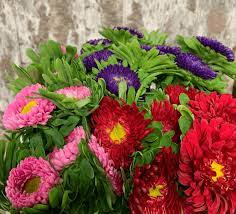 Maybe you would like to learn more about one of these? Iowa Des Moines Bill Doran Company Wholesale Florist Bulk Flowers Nationwide