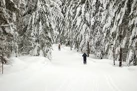 One question remains on our minds 'what will ski season look like?'. Cross Country Skiing At Cabin Creek Trails Celebrate Big