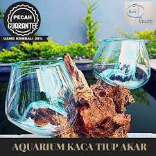 Sangat praktis dalam pemakaian dan mudah dalam perawatannya. Jual Akuarium Ikan Cupang Mini 2 In One Tingkat Kaca Tiup Akar Bali Aquascape Aquarium Unik Glasswood Ikan Hias Ready Stock Pot Vas Murah Juni 2021 Blibli