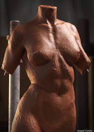 Third, the muscles of the torso do not move just the torso (vertebral column and rib cage) but also the shoulder girdle, which includes the scapula bones and there are many ways to categorize the torso muscles. Female Torso Clay Render Zbrushcentral
