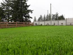 We did not find results for: Kletva Motor Trugrass Kidsgroveathletic Com