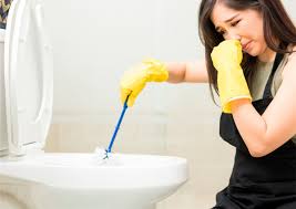 toilet smells like rotten eggs? (we