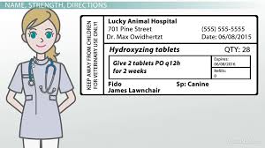 The doctor prescription format must have the name of the patient and also should include the name of the doctor. How To Label Prescription Medication For Veterinary Patients Video Lesson Transcript Study Com