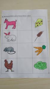 Hangi Hayvan Ne Yer Bul Ve Eslestir Faaliyetler Hayvan Okul