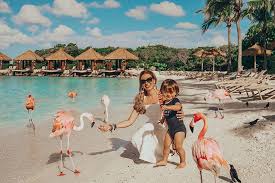 Flamingo beach is situated on a small island just off the coast of aruba, one of the lesser antilles located in the sourthern caribbean sea. Visiting Flamingo Beach A Magical Aruba Moment