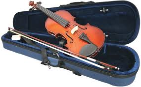 Unlike other advanced violins available in this price range, the scott cao 600 features higher flamed, aged woods and an upgraded varnish. Best Violin Brands For Beginners Intermediate Students