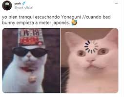 What does bad bunny's new song yonaguni's english meaning? 3srwcyqturocnm