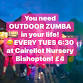 OUTDOOR ZUMBA by moonlight! EVERY Tues 6:30 at... event in Bishopton