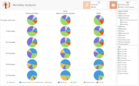 Medical Dashboard Examples Inetsoft