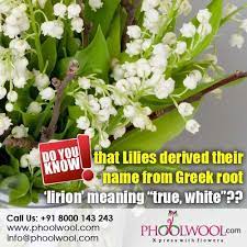 Pin On Did You Know