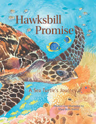 Not particularly large compared to other sea turtles, hawksbills grow up to about 45 inches in shell length and 150 pounds in weight. Hawksbill Promise The Journey Of An Endangered Sea Turtle Tilbury House Nature Book Owens Mary Beth 9780884484301 Amazon Com Books