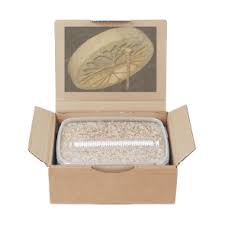 During this period of intoxication, users experience a wide variety of psychoactive effects, most often visual and other sensory distortions, changes to thought processes, intense emotions, including euphoria, hallucinogenic lsd. Buy Mushroom Grow Kit Magic Mushroom Grow Kit Golden Teacher Usa