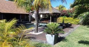 Set Up Jardin Outdoor Plants Jardin