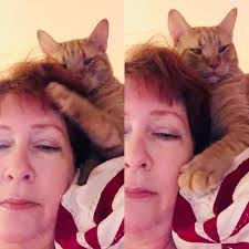 What is a quincy and what does it mean?