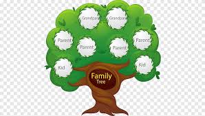 Check spelling or type a new query. Arbol Genealogico Genealogia Red Portatil Graficos Familia Gente Familia Png Pngegg