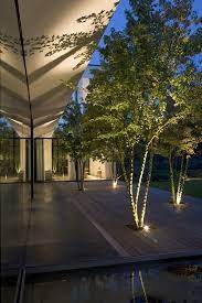 Modern Architecture Begs For Stylish Landscape Lighting Euro Style Home Blog Modern Lightin Modern Landscape Lighting Landscape Lighting Modern Landscaping