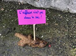 En organisant le premier concours de la plus belle crotte, la mairie entend mettre mal à l'aise les propriétaires indélicats pris en photo laissant leurs animaux faire leur besoin. A Villerville La Brigade Anti Crottes Declare La Guerre Aux Dejections Sauvages Le Pays D Auge