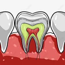 Jabilin60 11/18/2019 baguslah seronok términos y condiciones política de privacidad. Gambar Keratan Rentas Gigi Oral Kaviti Oral Taring Ciri Ciri Wajah Manusia Gigi Png Dan Psd Untuk Muat Turun Percuma