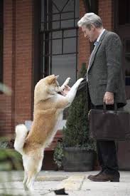 Masumi harukawa, kaoru yachigusa, hisashi igawa and others. Die Wahre Geschichte Von Hachiko Dem Hund Der Mit Seiner Liebe Und Hingabe Die Welt Bewegt Hat Curioctopus De
