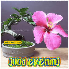 Good evening flowers for my lovely wife. Sweet Good Evening Images With Quotes For Lovers Ilove Messages