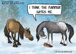 A Comic To Kick Off Your Week Horse Nation Funny Horse Pictures Funny Horse Memes Funny Horses
