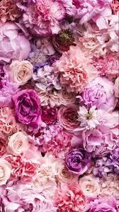 Flowers Flower Background Iphone Flower Backgrounds Flower Phone Wallpaper