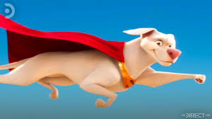 Krypto the superdog is an american children's animated television series produced by warner bros. Dc S Super Pets First Look At Krypto The Superdog In Animated Movie Revealed The Direct