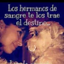 Rodeado de quebrachenses Aldo Boffano presentó su libro "Quebracho: Voces  de una memoria" en el Auditorio de Quebracho. Con la participación de Raúl  y Mateo Bava que musicalizaron el evento cultural interpretando