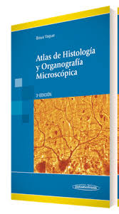 Formación cívica y ética sexto grado. Atlas De Histologia Y Organografia Microscopica De Jesus Boya Vegue Editorial Medica Panamericana