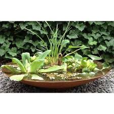 tuin inspiratie tuin tuinieren in potten