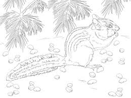 We did not find results for: Chipmunk Free Printable Coloring Pages For Girls And Boys