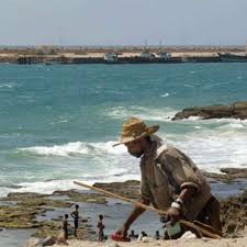 Se omdömen och bilder för stränder i somalia, afrika på tripadvisor. Somalia Neues Lebenszeichen Von Entfuhrten Deutschen Welt