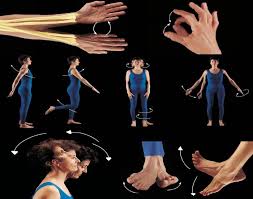 Free labeling of body movements : Body Movement Quiz