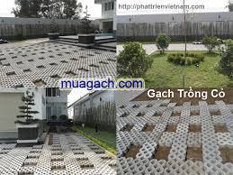 Gạch trồng cỏ 8L1 - CÔNG TY PHÁT TRIỂN VIỆT NAM