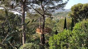 Se darai alla casa sull'albero dei tuoi sogni la cura e l'attenzione che merita, sarà possibile costruire un vero santuario in legno di cui si potrà godere per anni. Costruzione Di Case Sugli Alberi Su Misura E Interni Personalizzati