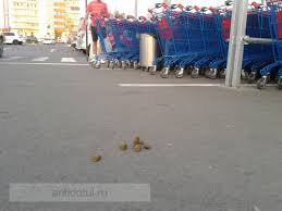 Shopping City GalaÈ›i È™i A Schimbat Proprietarul Antidotul È™tiri Online