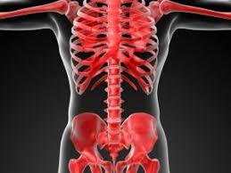 ︎ ortho sport & spine physicians. Atlanta Orthopedic Surgeon 678 752 7246 Ortho Sport Spine Physicians