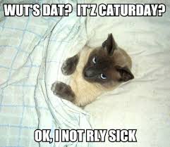 People at work are always looking forward to the we have a great collection of hilarious saturday memes, images, and photos for you to … Caturday Know Your Meme