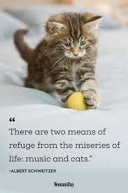 Friedrich nietzsche click to tweet. 38 Best Cat Quotes Cute Cat Sayings To Describe Your Kitten