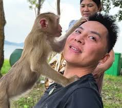 Monkey Kaka's Separation from Owner